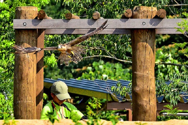 Theme Parks in Monaco